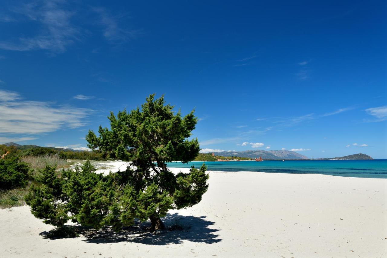 Casa Vacanze Il Mirto Bari Sardo Dış mekan fotoğraf
